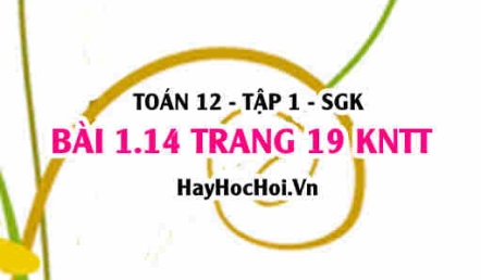 Bài 1.14 SGK Toán 12 tập 1 Kết nối tri thức